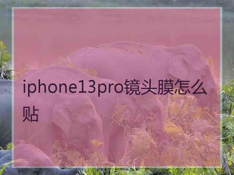 iphone13pro镜头膜怎么贴