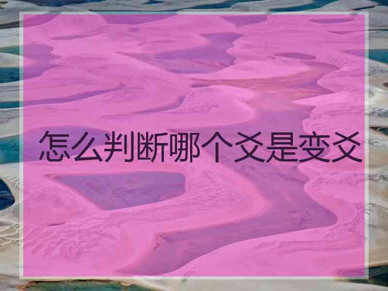 怎么判断哪个爻是变爻