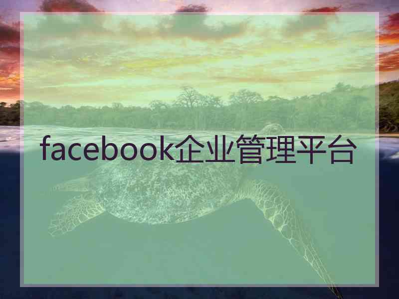 facebook企业管理平台