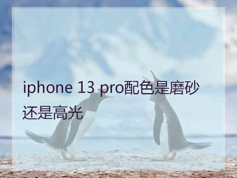 iphone 13 pro配色是磨砂还是高光