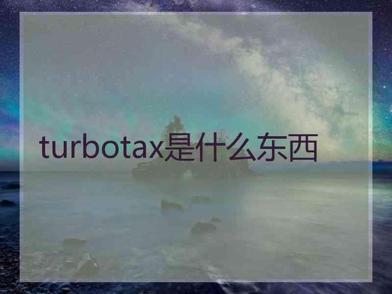 turbotax是什么东西