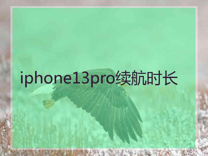 iphone13pro续航时长