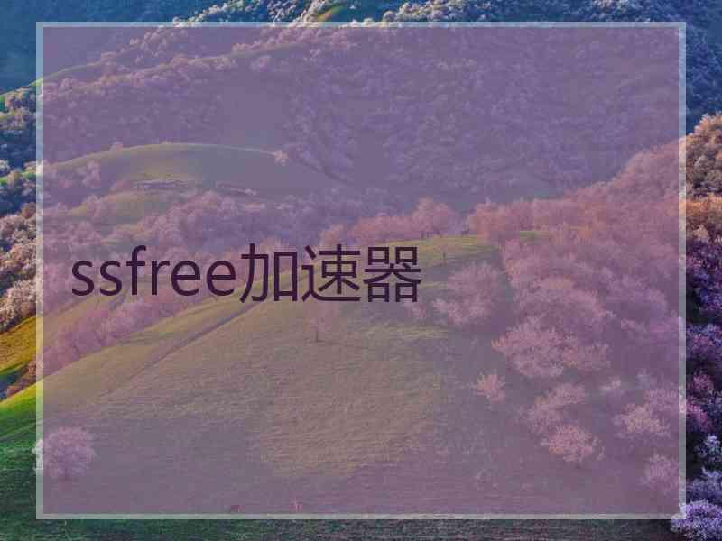 ssfree加速器