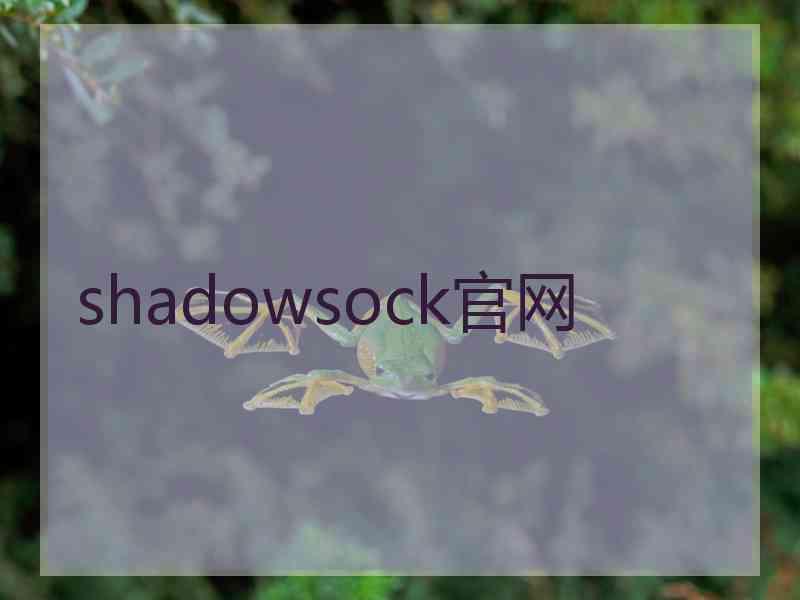 shadowsock官网