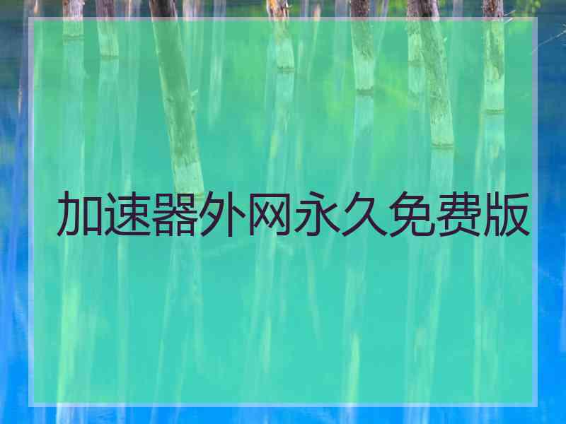 加速器外网永久免费版