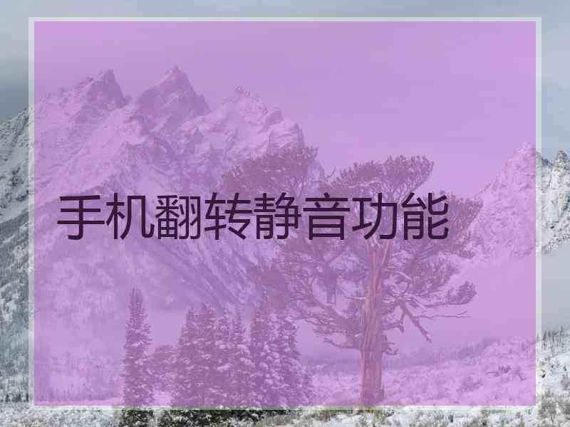 手机翻转静音功能