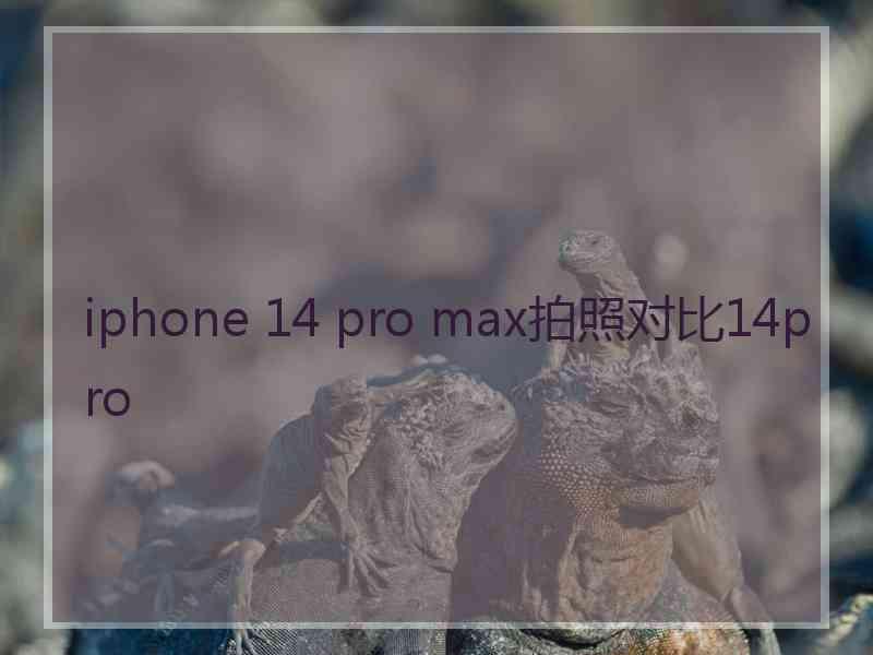 iphone 14 pro max拍照对比14pro