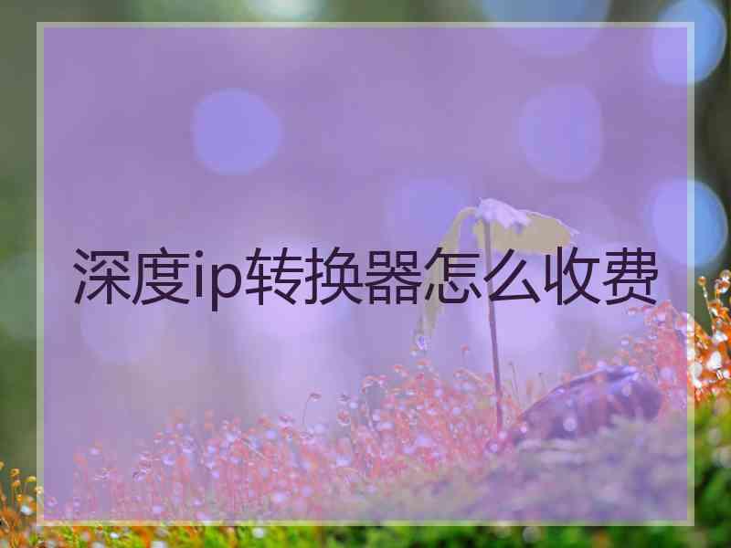 深度ip转换器怎么收费