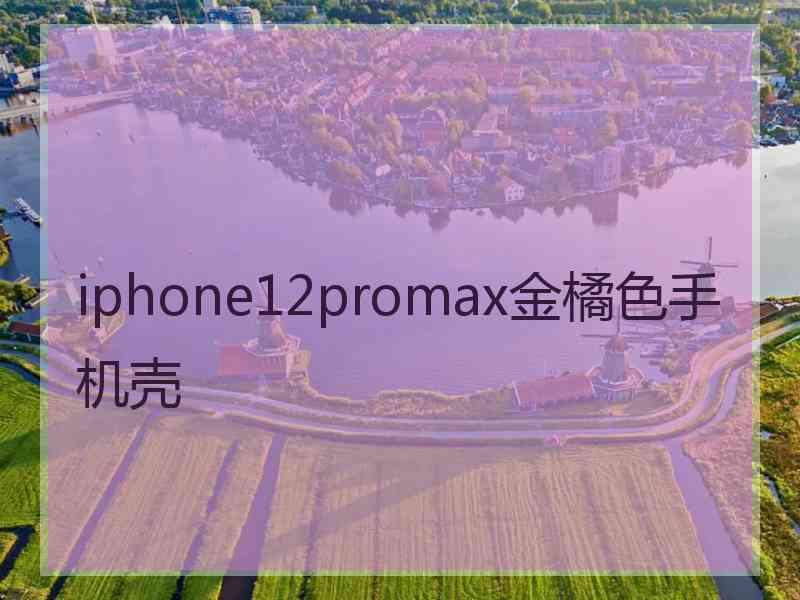 iphone12promax金橘色手机壳