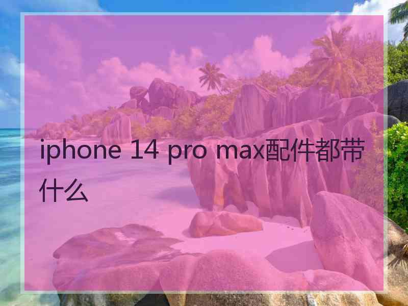 iphone 14 pro max配件都带什么