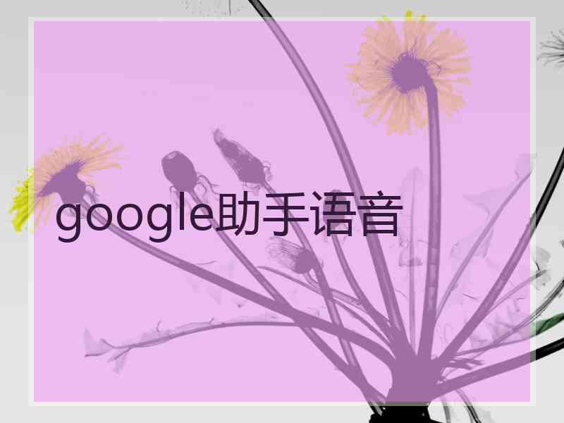 google助手语音