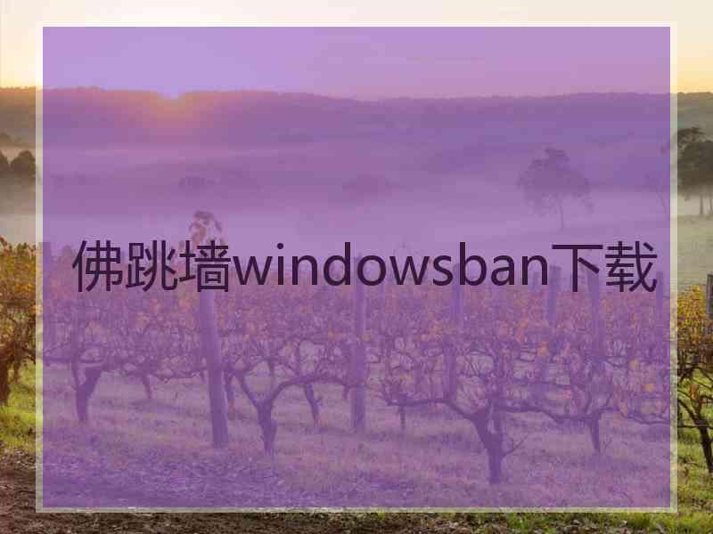 佛跳墙windowsban下载