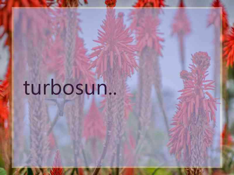 turbosun..