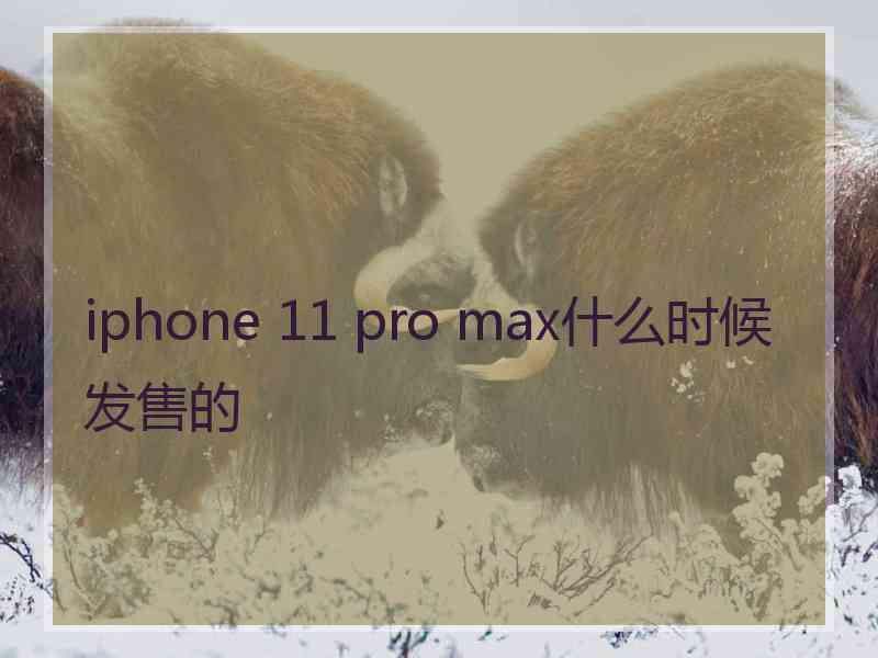 iphone 11 pro max什么时候发售的