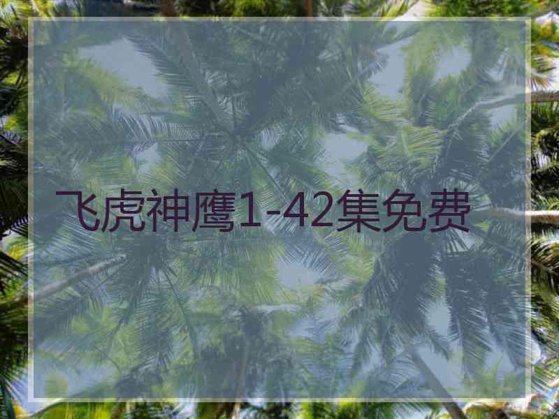 飞虎神鹰1-42集免费