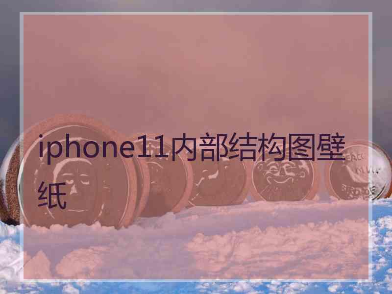 iphone11内部结构图壁纸