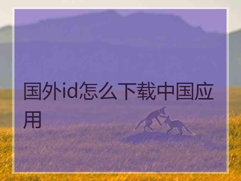 国外id怎么下载中国应用