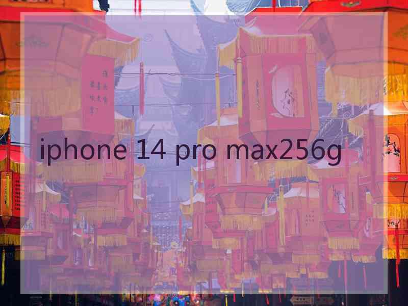 iphone 14 pro max256g