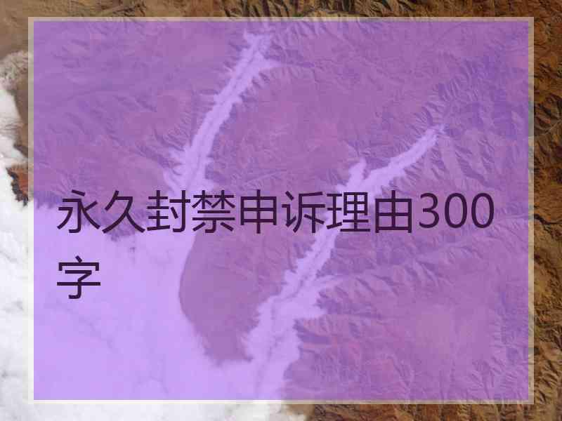 永久封禁申诉理由300字