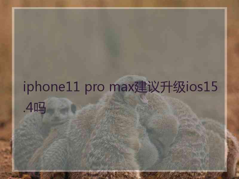 iphone11 pro max建议升级ios15.4吗