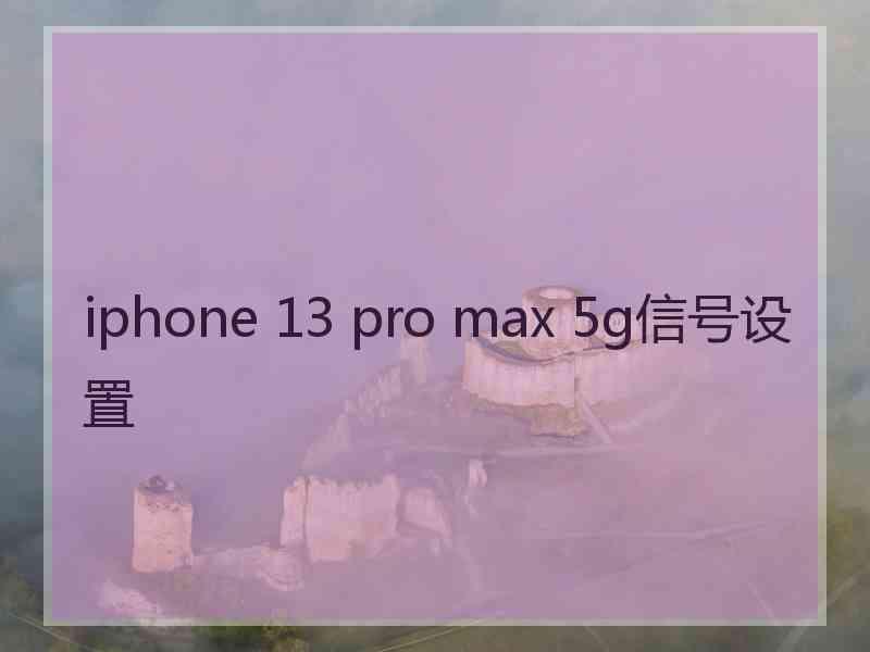 iphone 13 pro max 5g信号设置