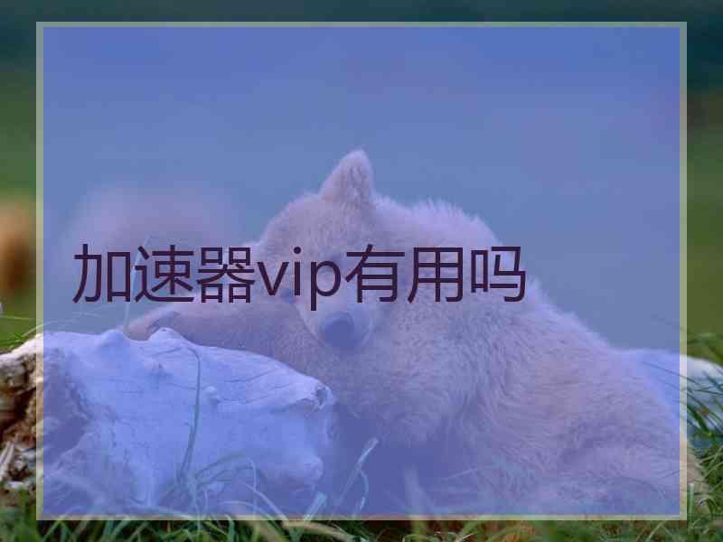 加速器vip有用吗