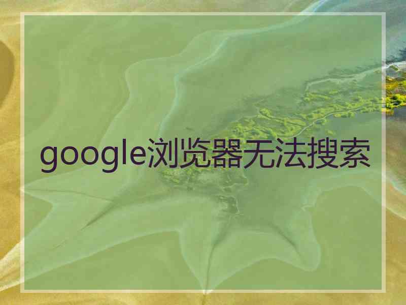 google浏览器无法搜索