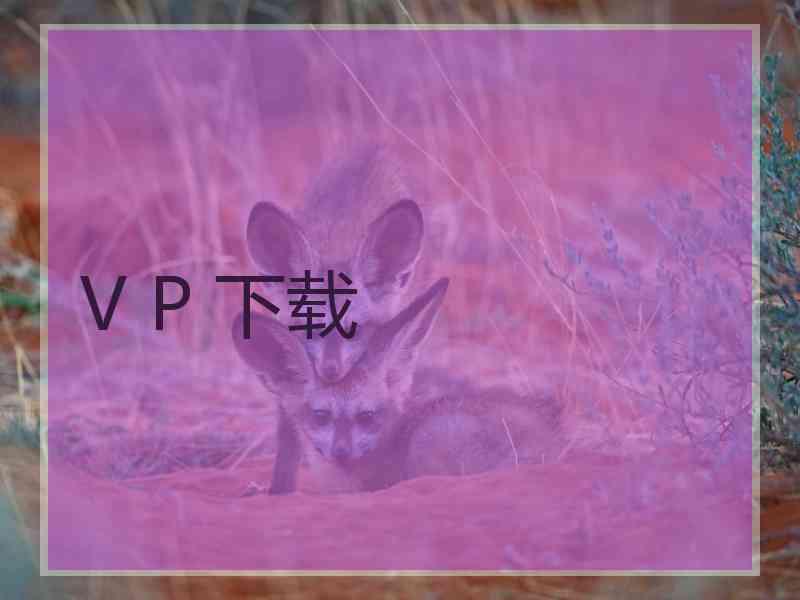 V P 下载