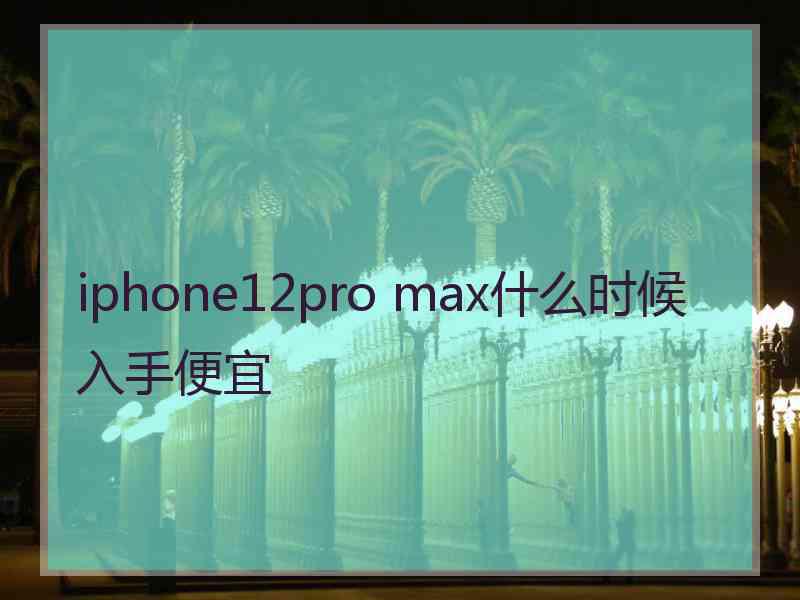 iphone12pro max什么时候入手便宜