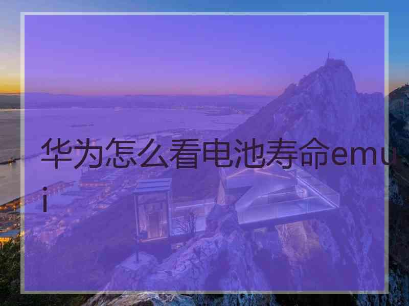 华为怎么看电池寿命emui