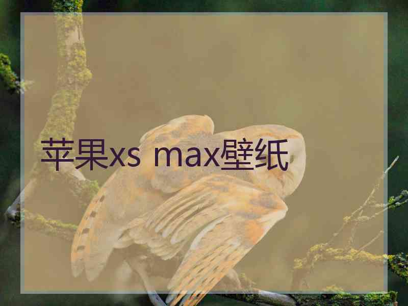 苹果xs max壁纸