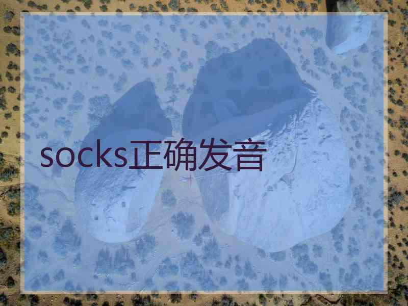 socks正确发音