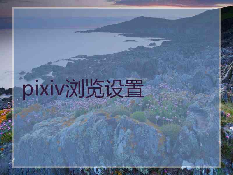 pixiv浏览设置