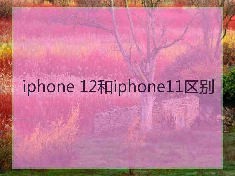 iphone 12和iphone11区别