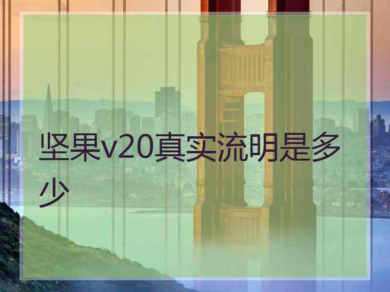 坚果v20真实流明是多少