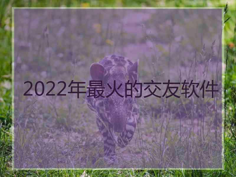 2022年最火的交友软件