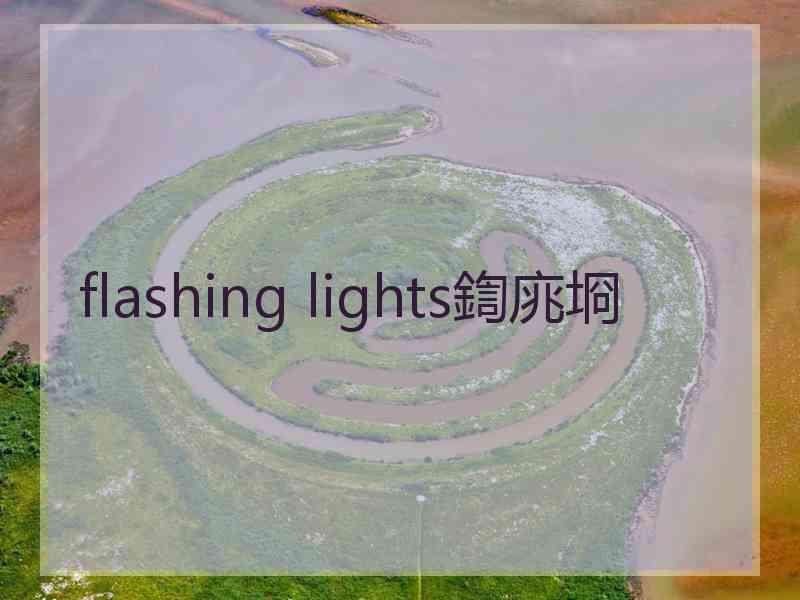 flashing lights鍧庣埛