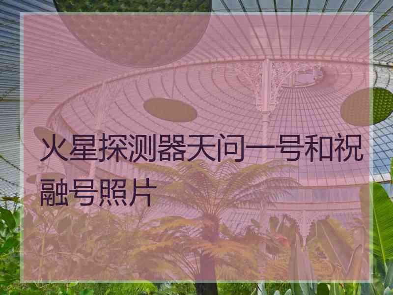 火星探测器天问一号和祝融号照片