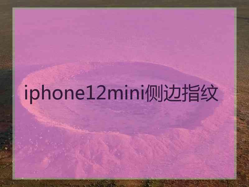 iphone12mini侧边指纹