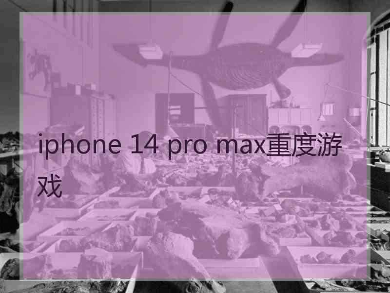 iphone 14 pro max重度游戏