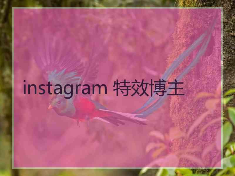 instagram 特效博主