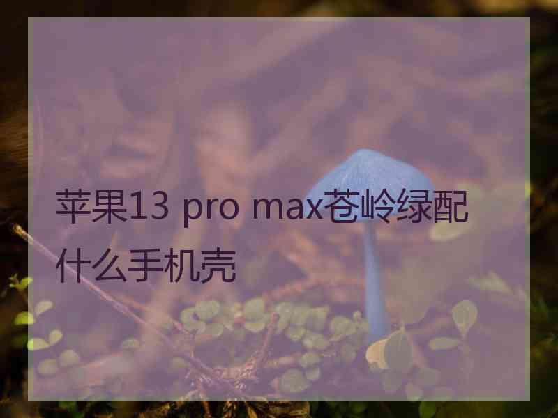 苹果13 pro max苍岭绿配什么手机壳