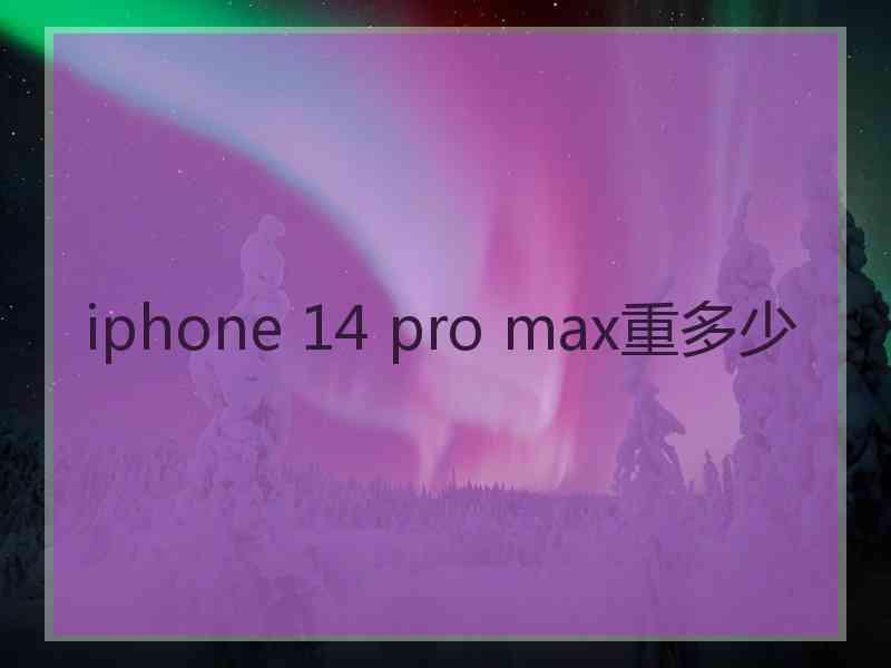 iphone 14 pro max重多少