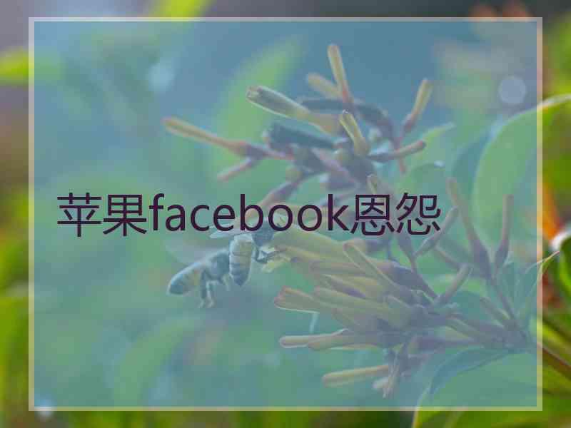 苹果facebook恩怨