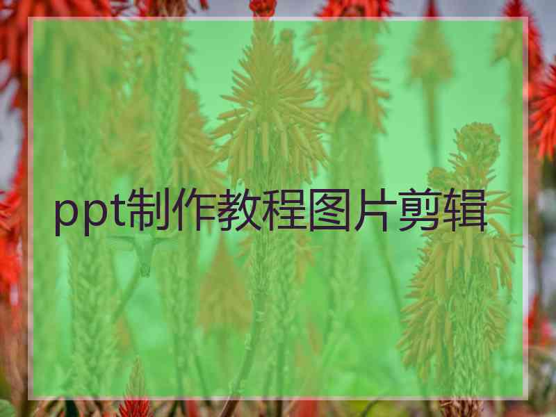 ppt制作教程图片剪辑