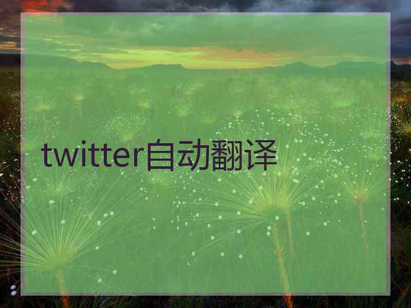 twitter自动翻译