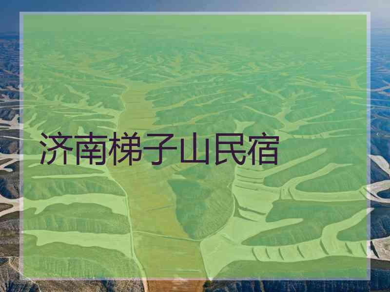 济南梯子山民宿