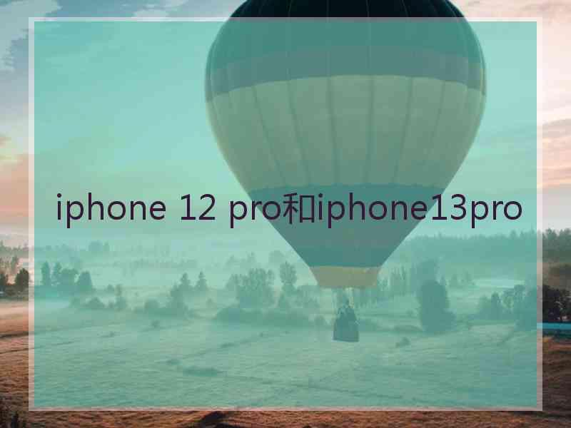 iphone 12 pro和iphone13pro