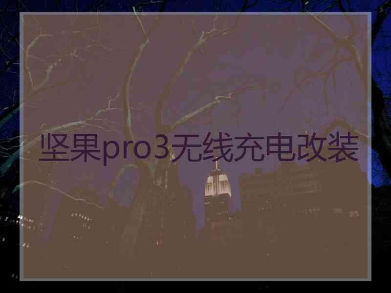 坚果pro3无线充电改装