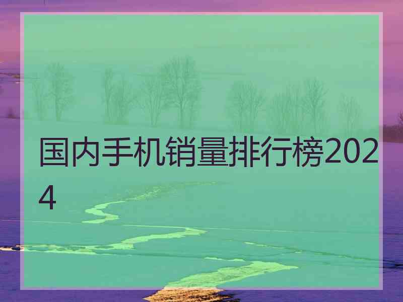 国内手机销量排行榜2024